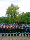 website390053.jpg
