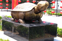 website400003.jpg