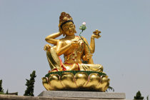 website400005.jpg