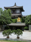 website400047.jpg