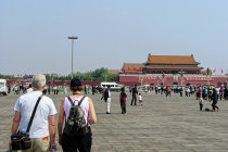 website407003.jpg