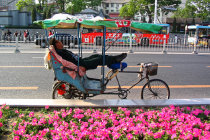 website408003.jpg