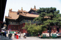 website408004.jpg
