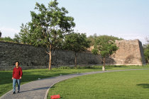 website408048.jpg