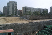 website408049.jpg