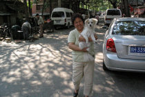 website408053.jpg
