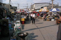 website408054.jpg