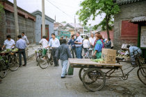 website408055.jpg
