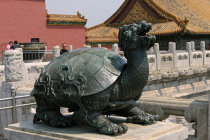 website410050.jpg