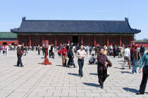 website413003.jpg