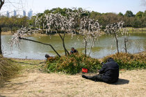 website429003.jpg