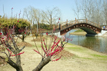 website429004.jpg