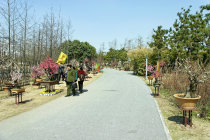 website429005.jpg