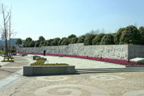 website429047.jpg