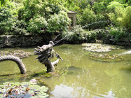 website431047.jpg