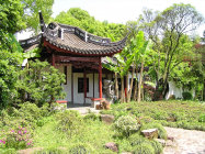 website431048.jpg