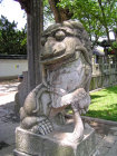 website431049.jpg