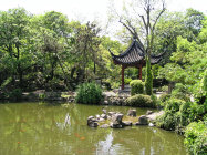 website431052.jpg