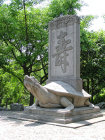 website431056.jpg
