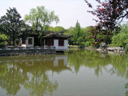 website431057.jpg