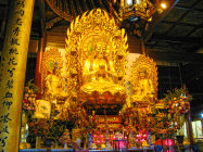 website432046.jpg
