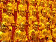 website432048.jpg
