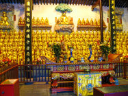 website432049.jpg