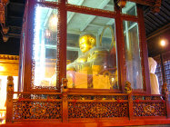 website432053.jpg