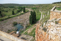 website439003.jpg