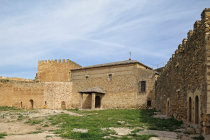 website439005.jpg