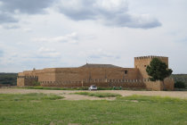 website439048.jpg