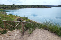 website439049.jpg