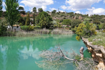 website439050.jpg