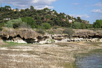 website439052.jpg