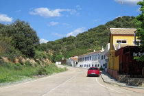 website439058.jpg
