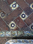 website442049.jpg
