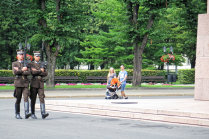 website447048.jpg