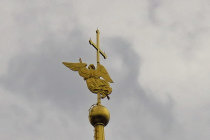 website458057.jpg