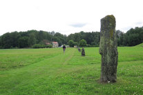 website467040.jpg