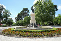 website473003.jpg