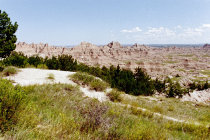 website499039.jpg