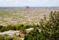website499040.jpg