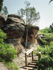 website501044.jpg