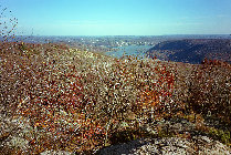 website502020.jpg