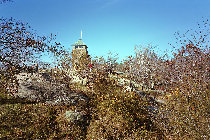 website502021.jpg