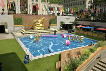 website503042.jpg