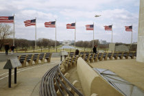 website504042.jpg