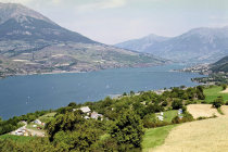 website507044.jpg