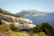 website507047.jpg