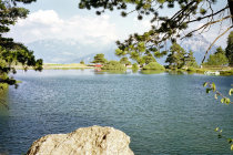 website508007.jpg